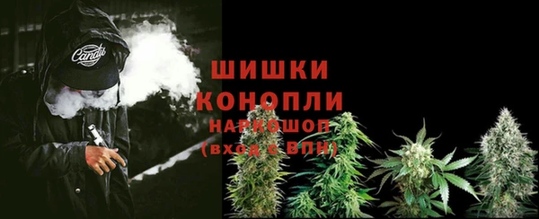 прущие крисы Белокуриха